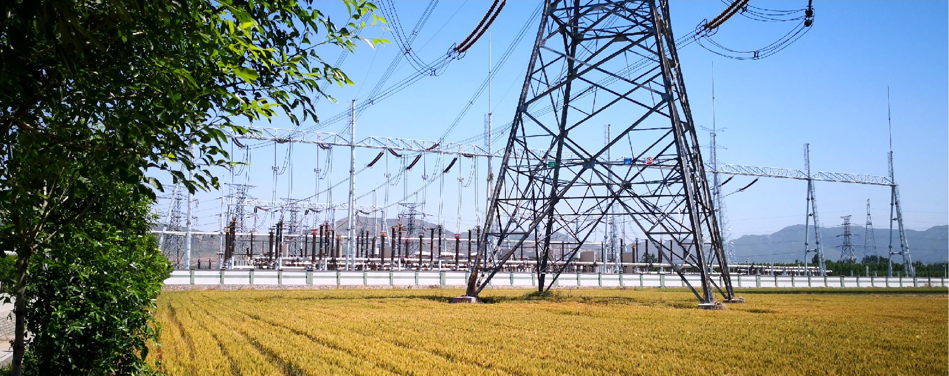 小草小区二区三在线