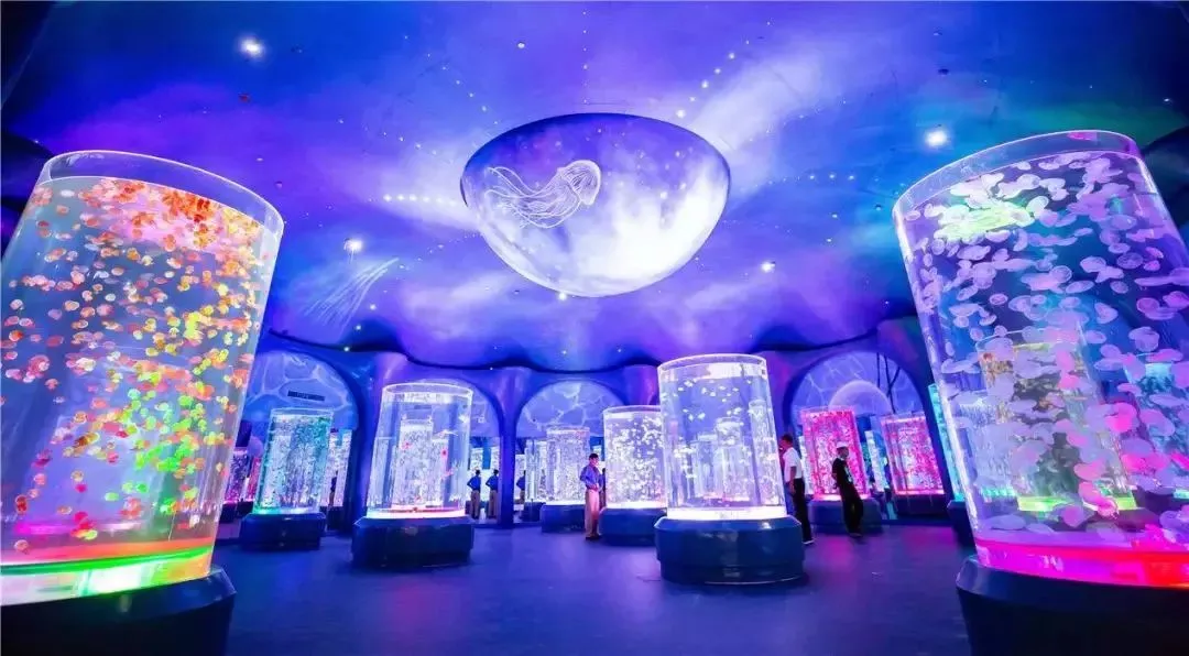 1725868042175760.png image.png