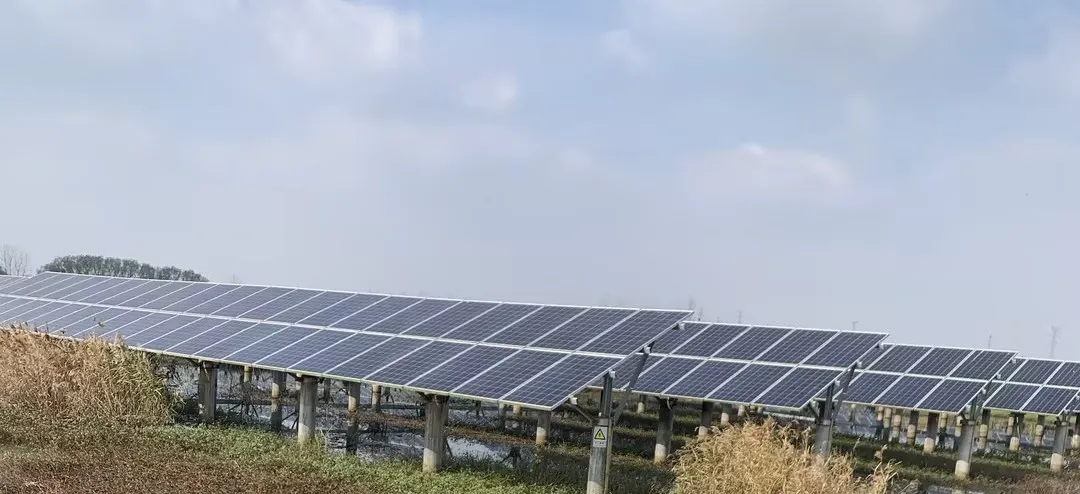 1733133131191736.png image.png