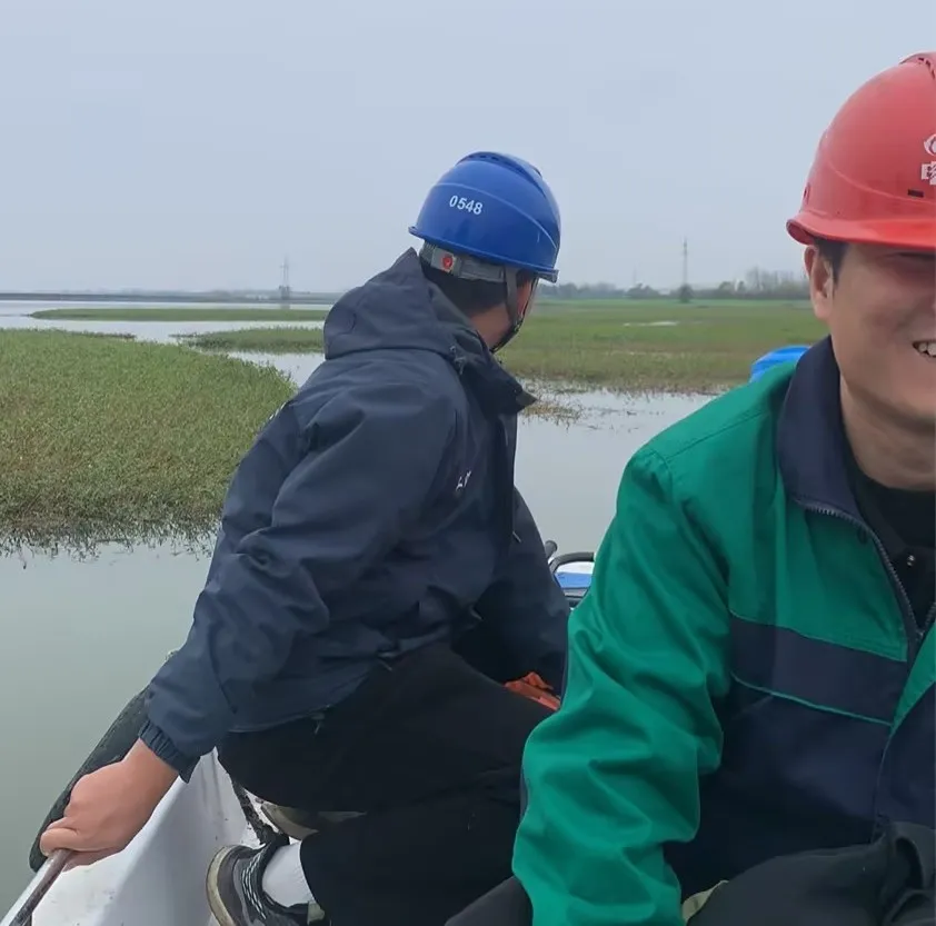 1733133138164403.png image.png