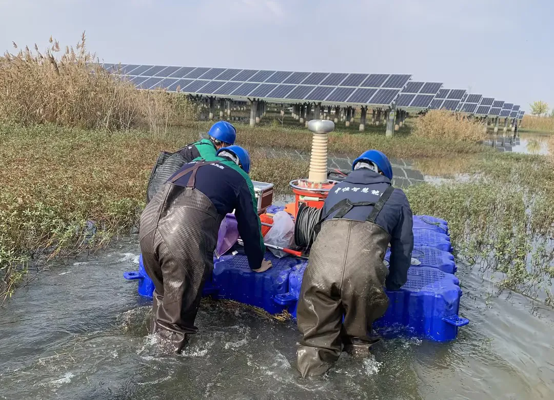 1733133162112435.png image.png