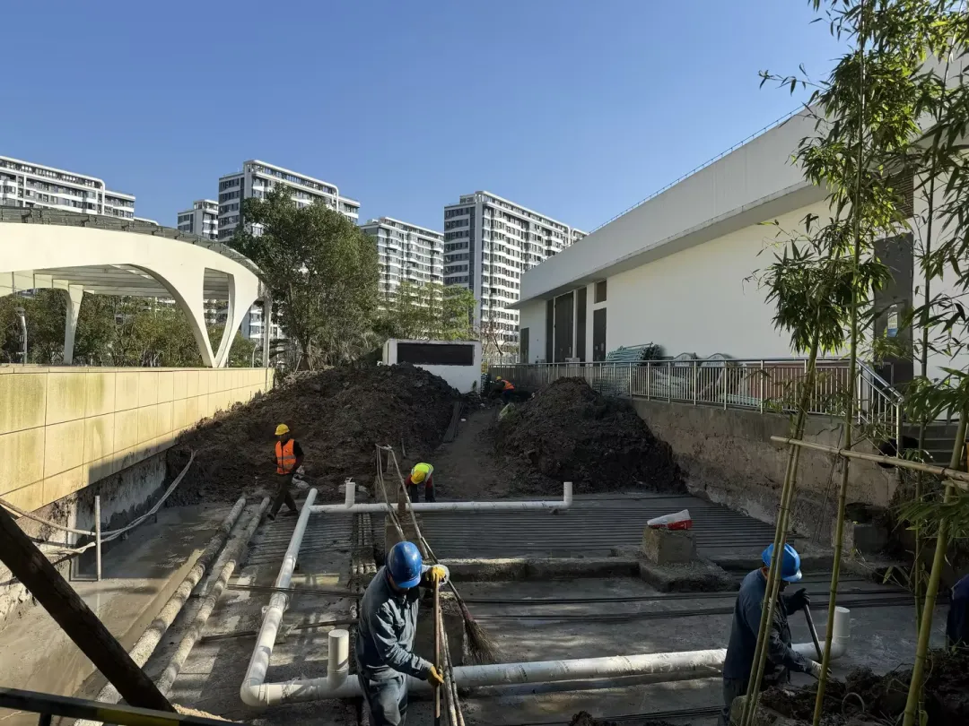 1736156206604107.png image.png