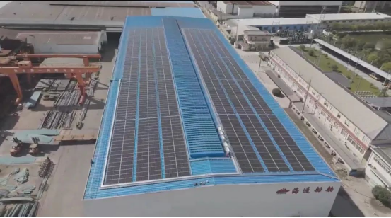 1738723527899176.png image.png