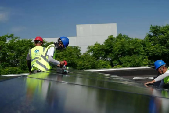 1738749212168101.png image.png