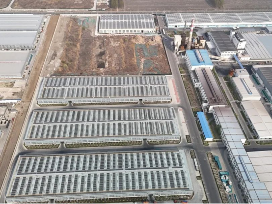 1744363847158255.png image.png