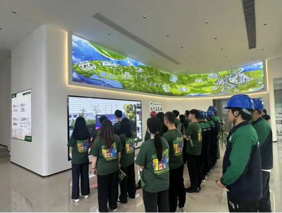 1750128602146034.png image.png