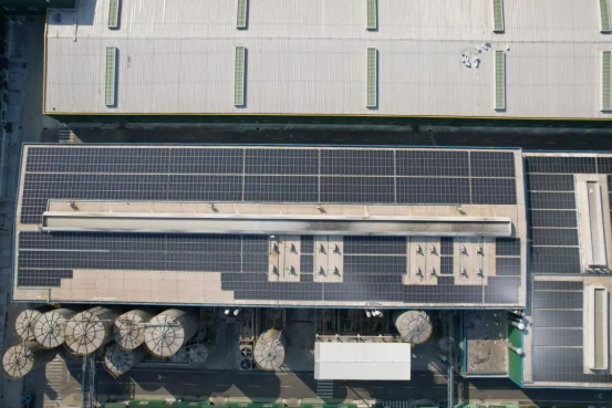 1754458525139287.png image.png