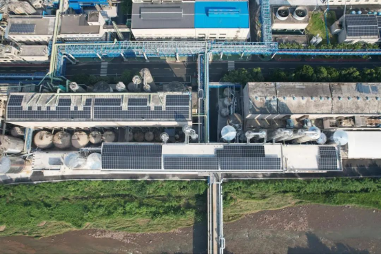 1754458562290977.png image.png